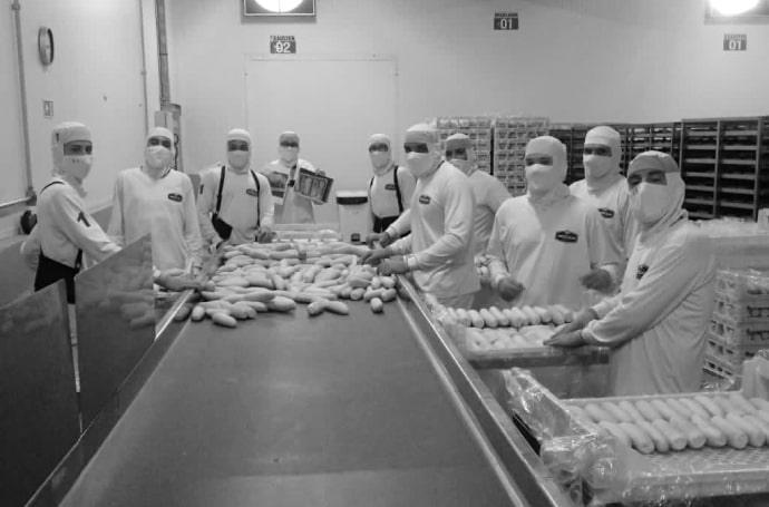 Acciones durante la pandemia